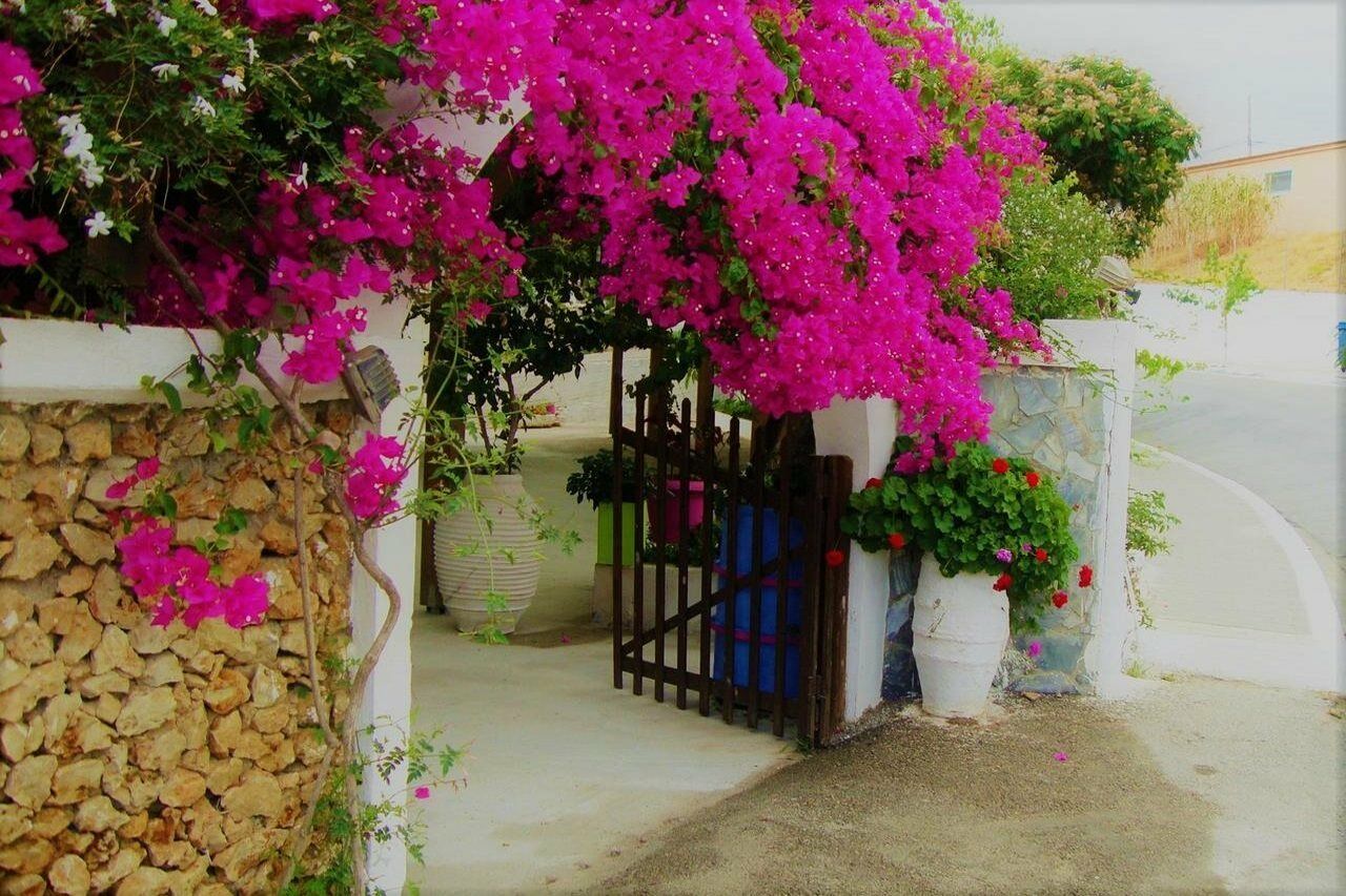 Λεύκα Ξενοδοχείο Κολυμβάρι Εξωτερικό φωτογραφία